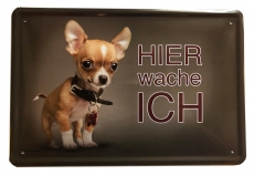 Blechschild - Hier wache ich - Chihuahua - BS154